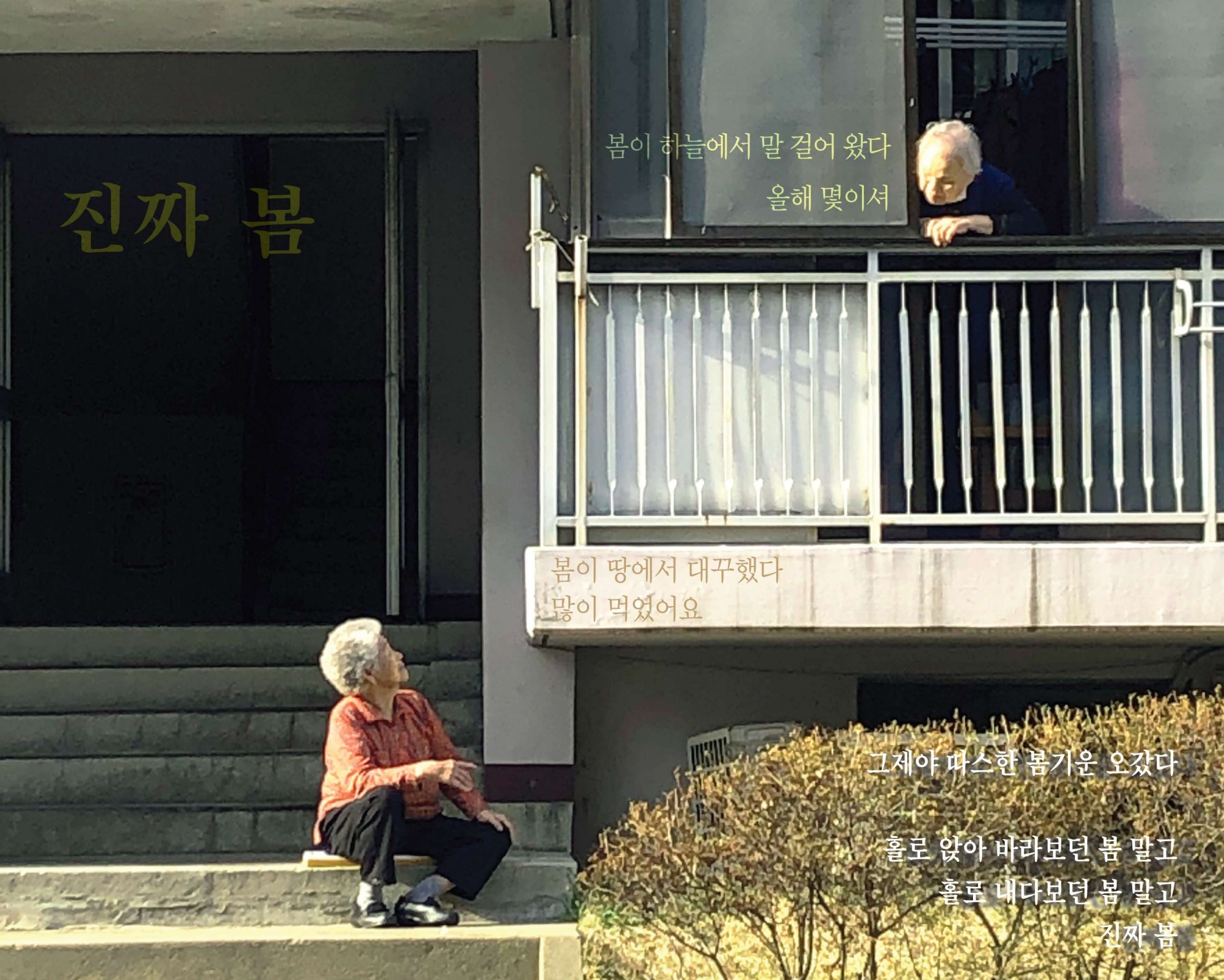 길에서 주워 온 시