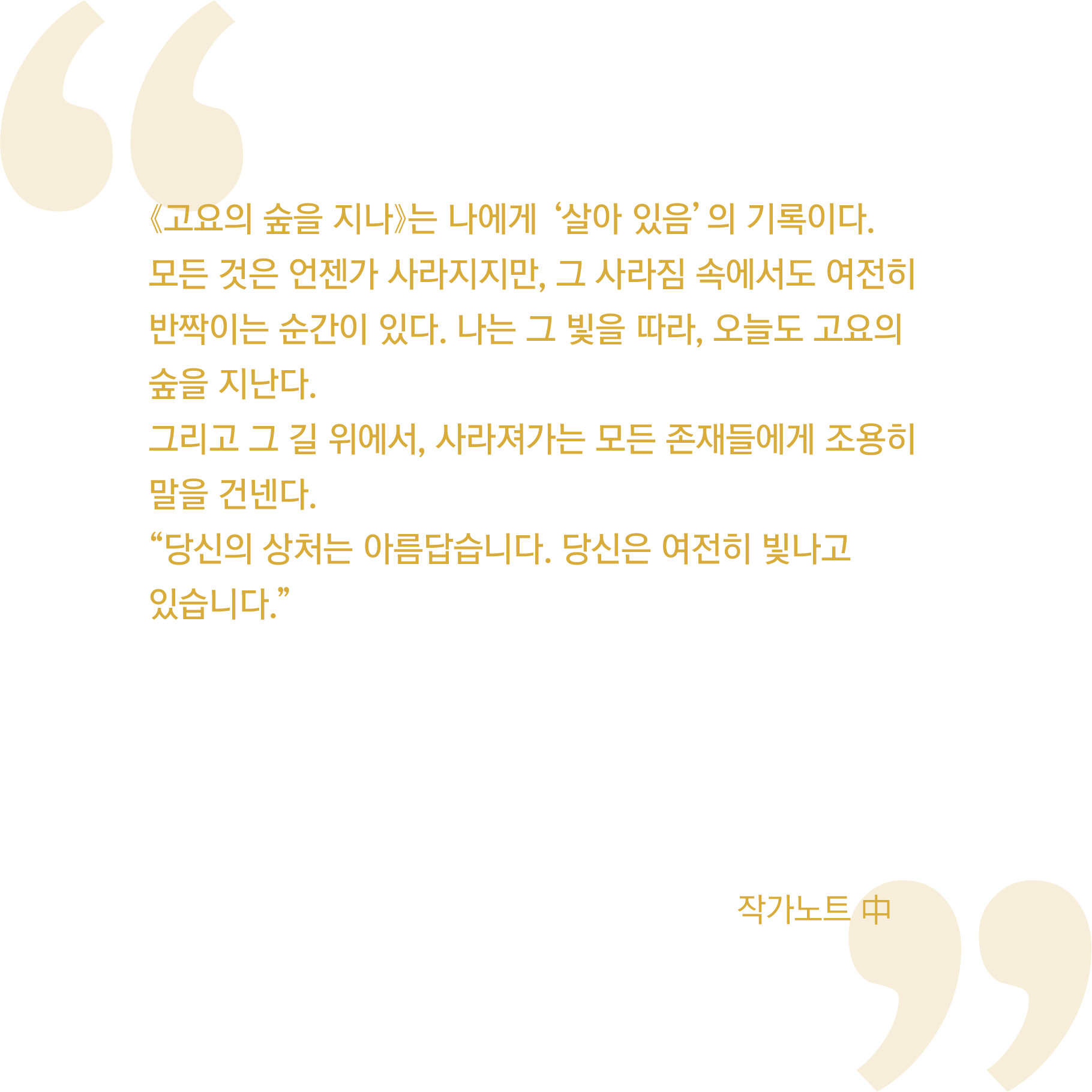 김조은