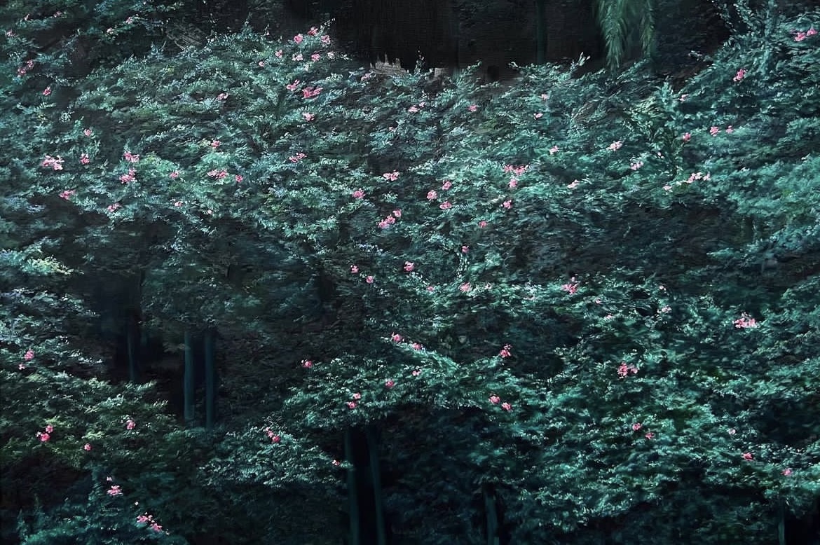 권아영_서화(曙花) 새벽의 꽃_2022_캔버스에 유채_80.3cmx116.8cm