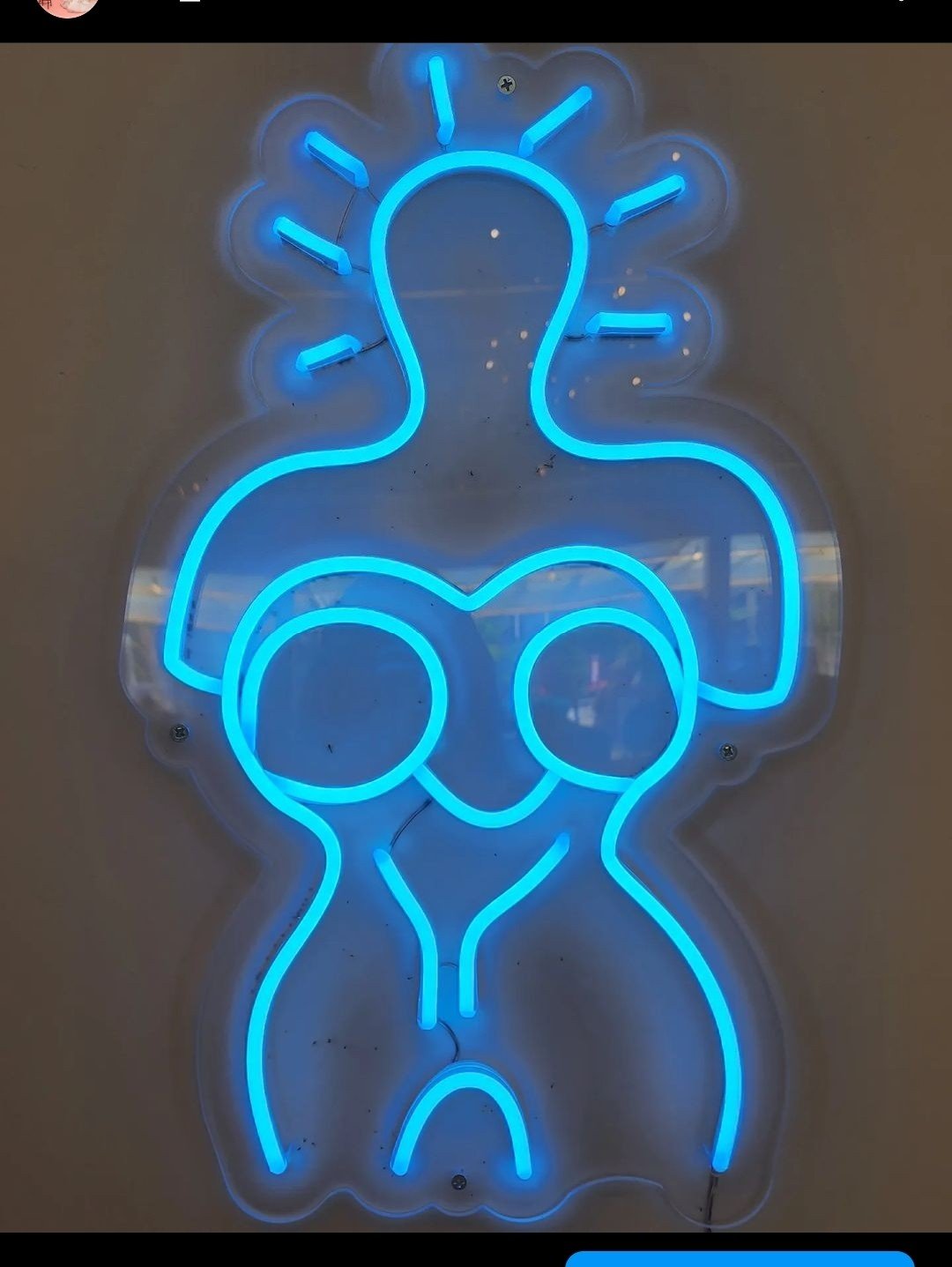 한주형, 내안의 꽃 시리즈_II, 2023, 네온아트 혼합, 50x30cm